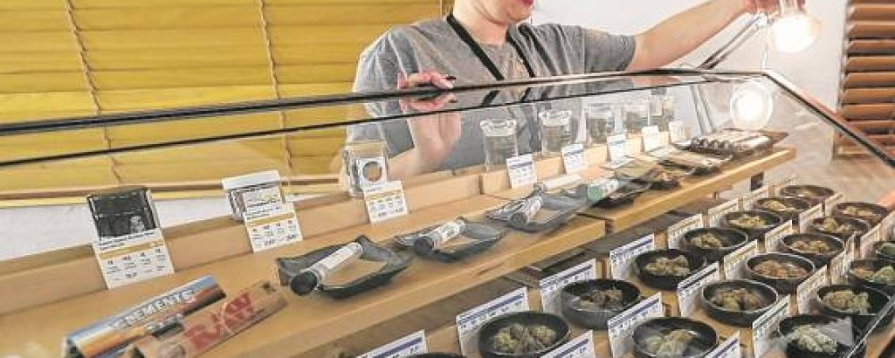 América Latina, referente en legalización de marihuana