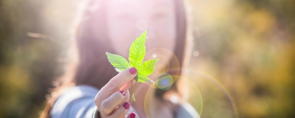 Los clubes llevan a la justicia europea la regulación del cannabis en España