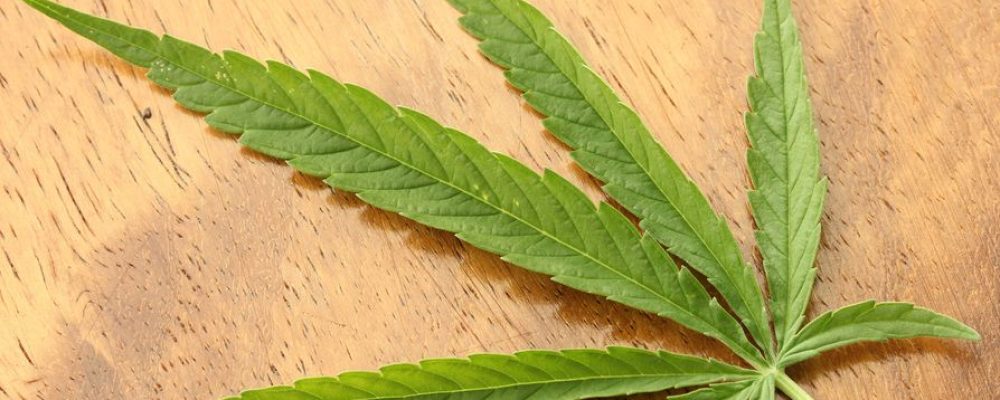 Indica o Sativa: ¿qué es mejor para el sexo?