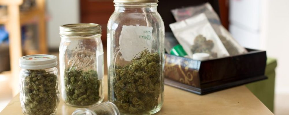 La mayor fábrica de productos cannábicos del mundo sacará a 1500 colombianos del mercado negro