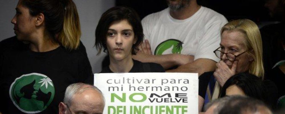 Argentina promulgó la ley del uso medicinal del aceite de cannabis