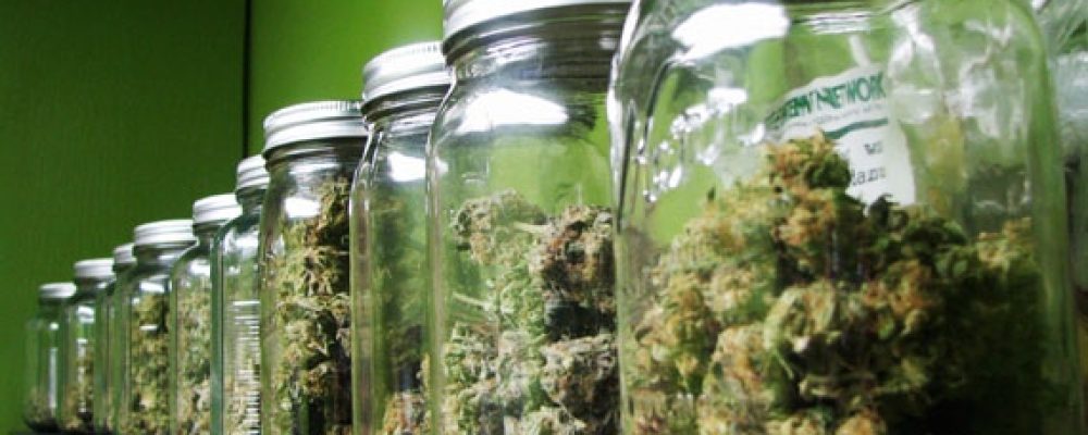 Podemos defiende en Bruselas la regulación integral del cannabis
