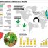 El cannabis medicinal gana terreno en América Latina