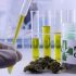 Un estudio halló que cannabis medicinal y hongos psicodélicos pueden ser claves en tratamiento del cáncer