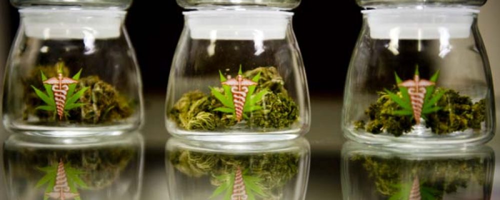 I Congreso Cannabmed