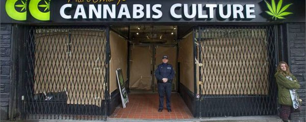 Redadas y detenciones en Canadá: la persecución contra Cannabis Culture