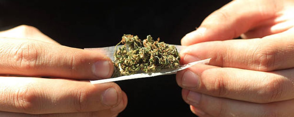 Fumadores de cannabis ante notario