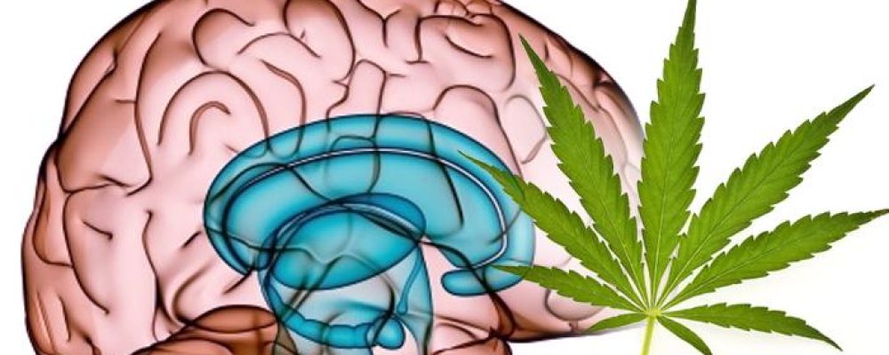 Fumar tabaco de joven aumenta el riesgo de sufrir un ictus, pero la marihuana igual no