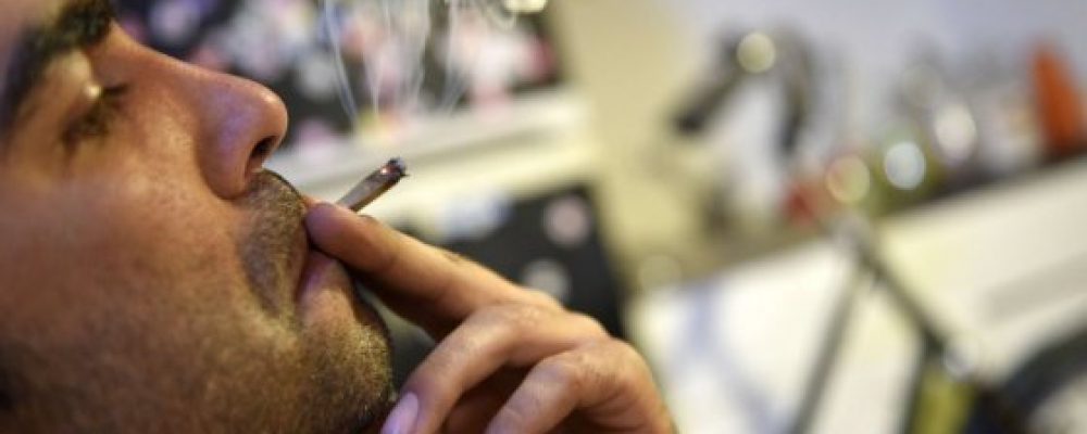 La ley catalana de Asociaciones de cannabis será recurrida por el Gobierno