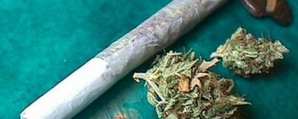 El triunfo de Trump disipa la euforia por la legalización de la marihuana