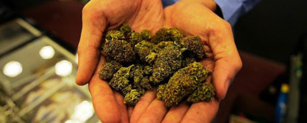 En bares y clubes de yoga de Denver ya es legal consumir marihuana