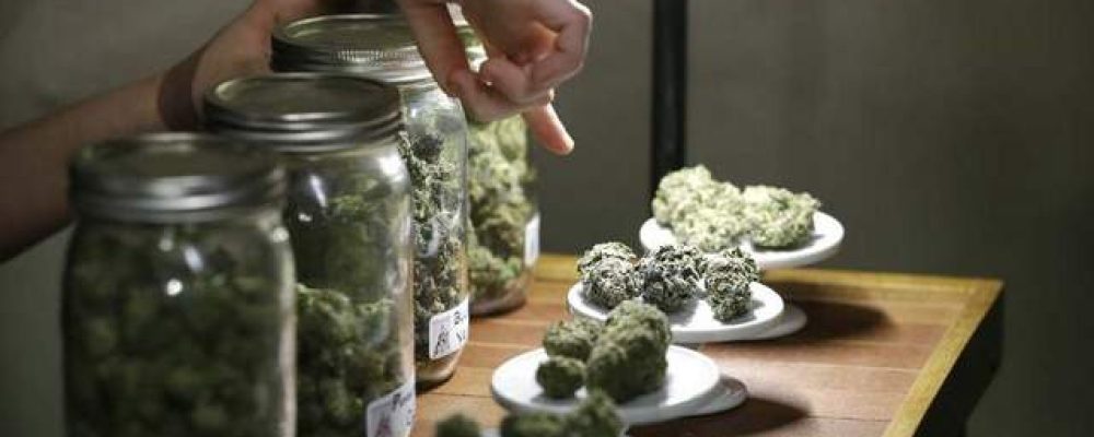 El Estado quiere que las empresas de cannabis en E.E.U.U. estén aseguradas