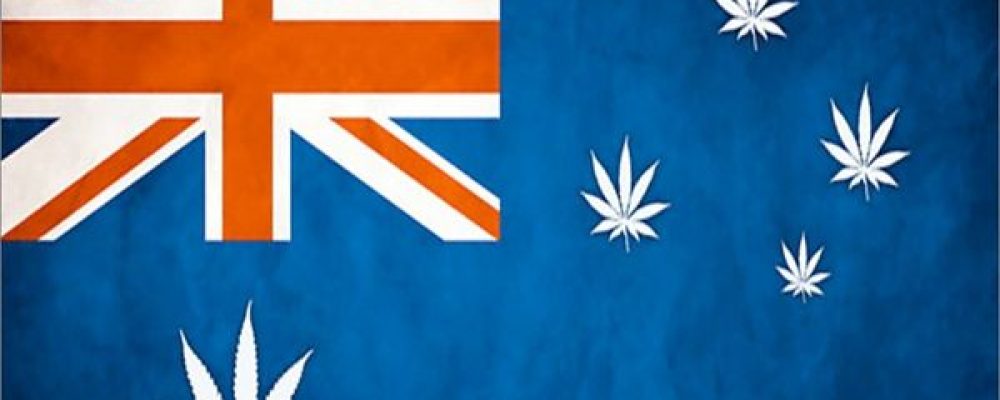 Cannabis terapéutico en el continente australiano: Oceanía se abre paso hacía la legalización