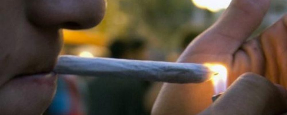 "El Gobierno no soporta la normalización social de los clubes de cannabis"