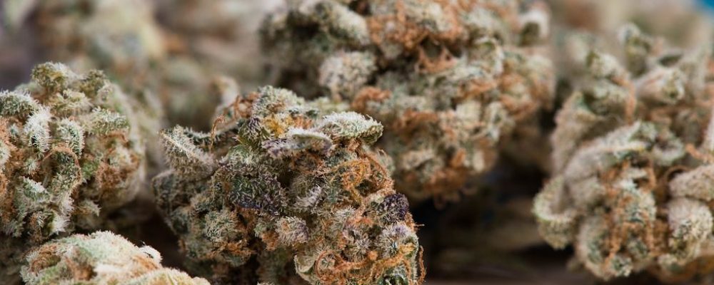 Miel y marihuana, la pareja ideal
