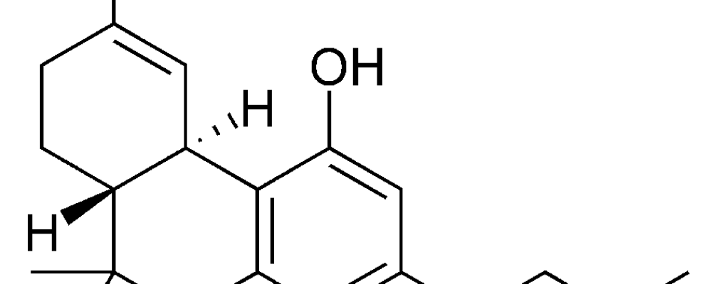 ¿Por qué no es posible morir de una sobredosis de cannabis?
