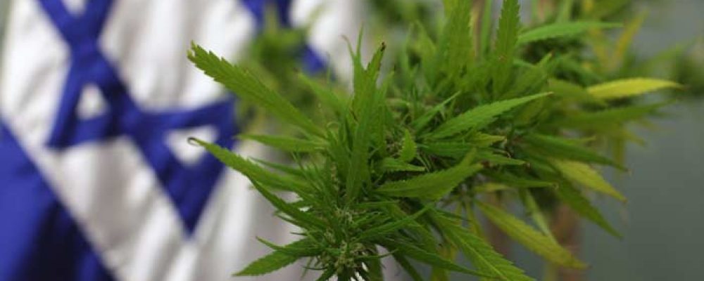 El cannabis en Israel se empieza a convertir en economía de exportación