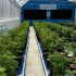 La Audiencia Nacional admite la querella contra Juicy Fields, la plataforma de plantación de cannabis