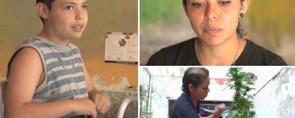 Madre cultiva marihuana por amor a su hijo y desafía las leyes