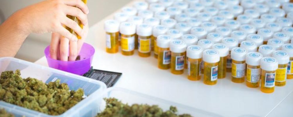 Cómo una compañía suiza planea surtir de cannabis legal a toda Europa