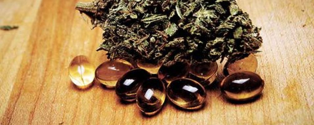 Los pacientes médicos de cannabis lo califican como muy eficaz