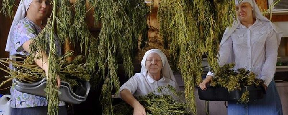 Legalizaciones, monjas promarihuana y porros gigantes: lo mejor de 2016 en el mundo del cannabis