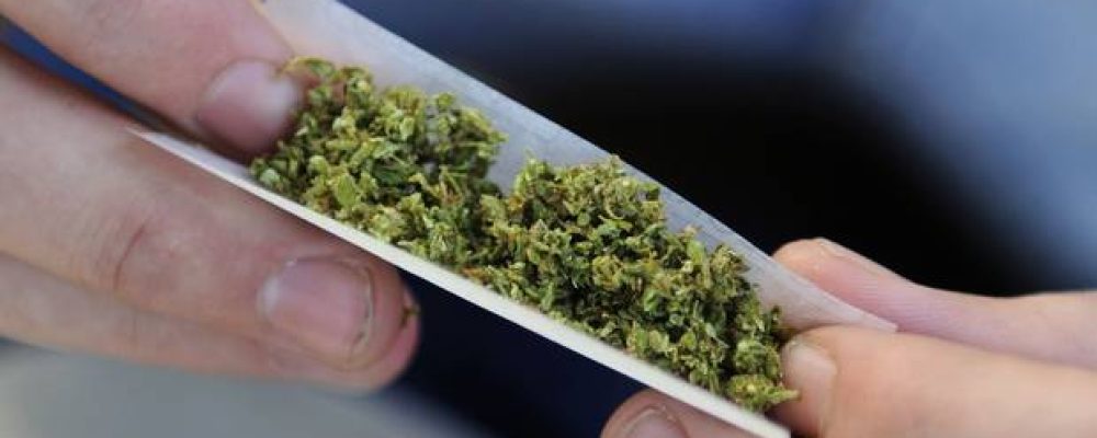 El TC suspende la ley catalana que regula el cannabis