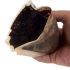 ¿Deberías volcar tus posos de café en tus plantas de cannabis?