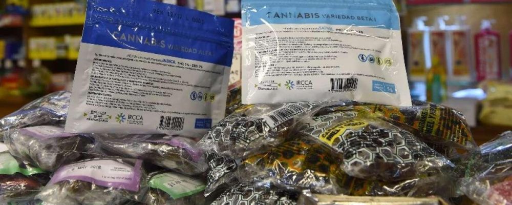 Uruguay triplica número de consumidores registrados de marihuana legal