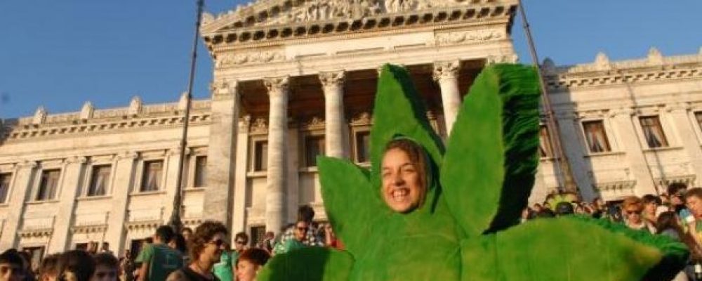 Holanda mira a Uruguay en materia de políticas de drogas